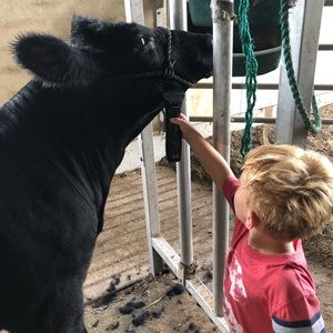 Meet your Posher, Kyle